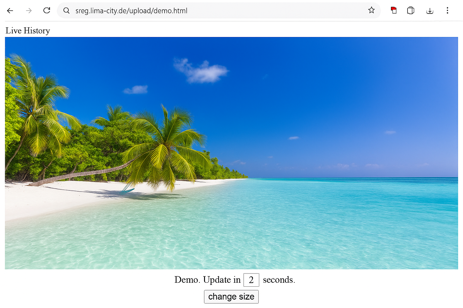 Wolfeye Live Dashboard: KMU-Bildschirme in Echtzeit